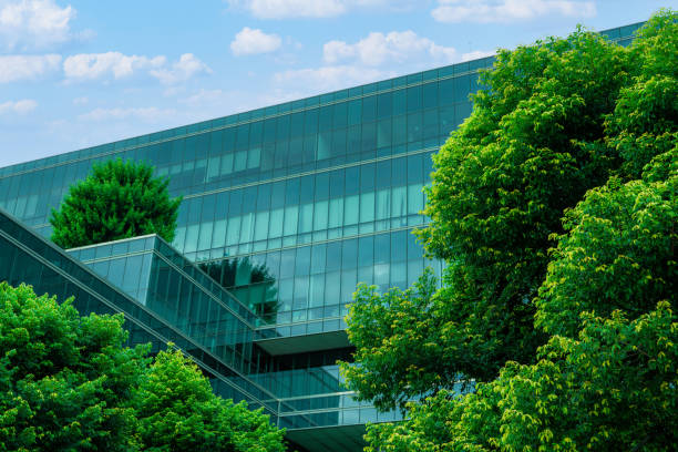 umweltfreundliches gebäude in der modernen stadt. nachhaltiges bürogebäude aus glas mit bäumen zur reduzierung von hitze und kohlendioxid. bürogebäude mit grüner umgebung. firmengebäude reduzieren co2. - green business stock-fotos und bilder