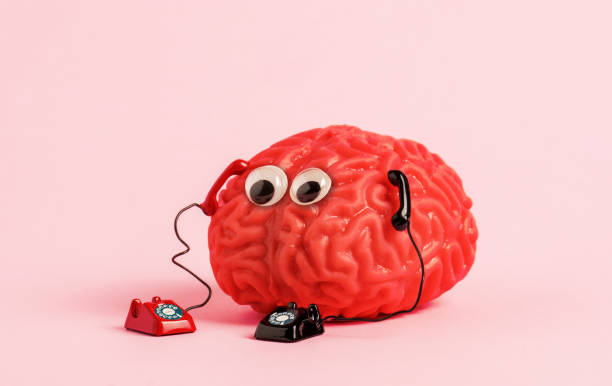 Human brain model with two retro phones on pink background. Multitasking and brain work concept.