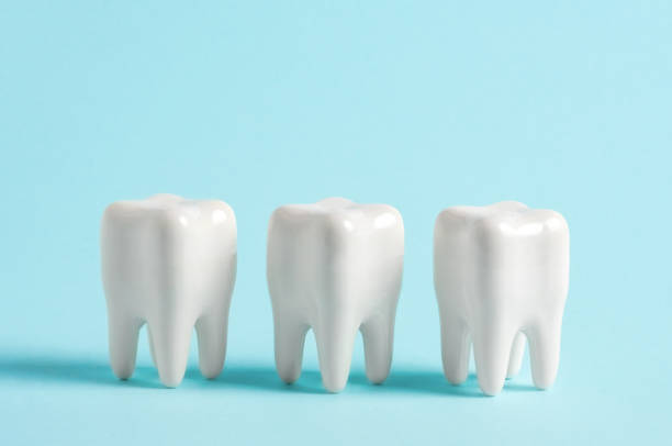 istock Three teeth in a row on a blue background. Dentistry clinic advertisement poster. 1503330800