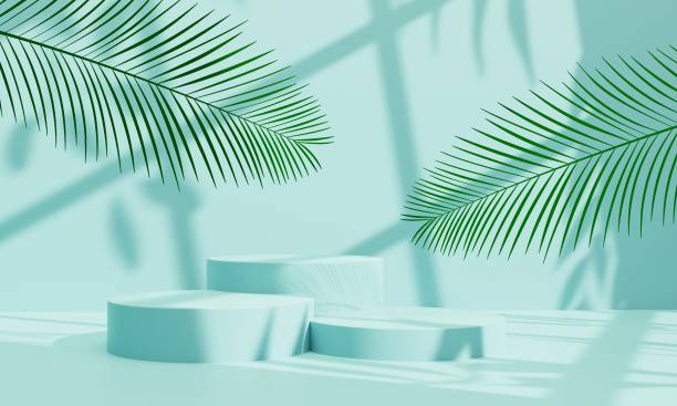 istock Pastel blue podium for product presentation with palm leaf elements,shade and natural sunlight.3D render illustration 1503331681