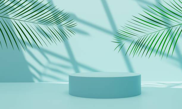 istock Pastel blue podium for product presentation with palm leaf elements,shade and natural sunlight.3D render illustration 1503331684
