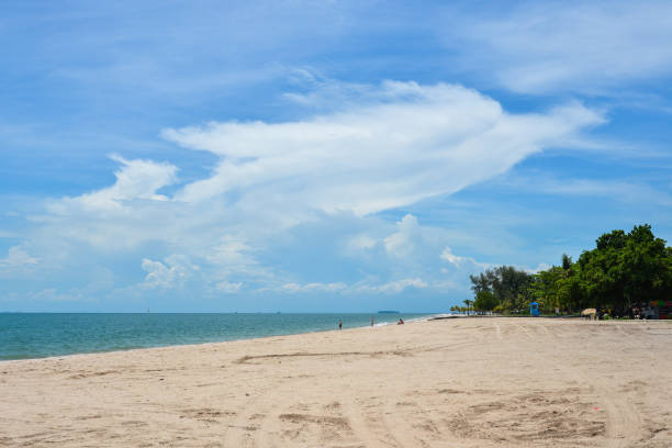 istock Untouched sandy beach at summer day 1503335669