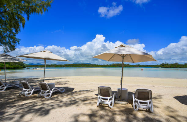 istock Ile aux Cerfs Leisure Island, Mauritius 1503336534