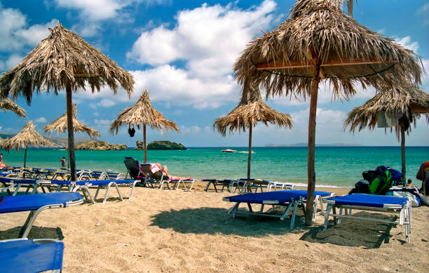 istock view of the sandy beach and umbrellas 1503349340