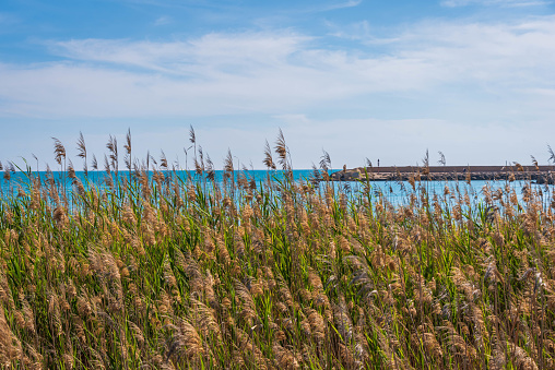 Panorama of Mediterranean Sea from San Leone Promenade, Agrigento, Sicily, Italy, Europe