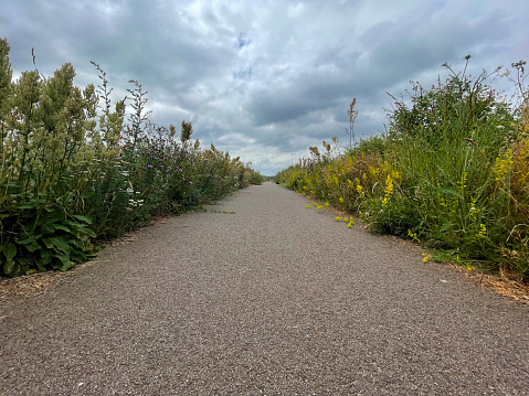 A cycle path in Norfolk