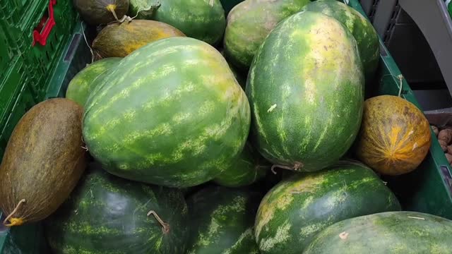 Natural fresh sweet yellow melons and green watermelons in boxes on sale in a fruit store