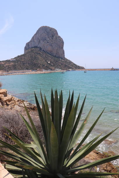 mountain sea beach stock photo