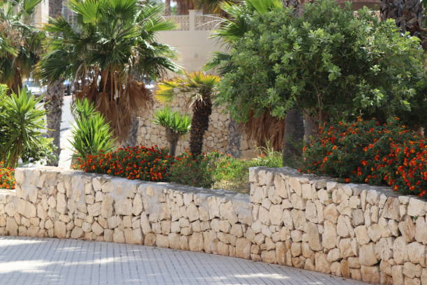 garden with a stone fence stock photo