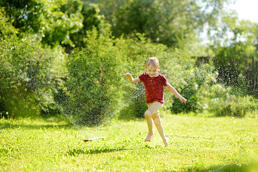 Funny little boy playing with garden sprinkler in sunny backyard. Preschooler child laughing, jumping and having fun with spray of water. Summer outdoors activity for kids.