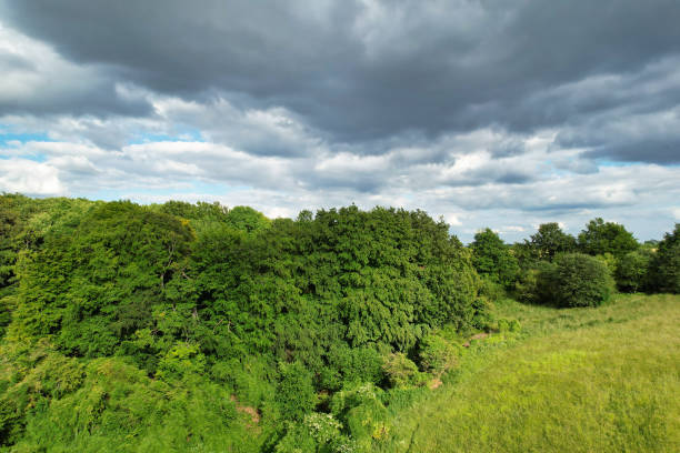 High Angle View of British Countryside Landscape During Just Before Sunset. The Footage Was Captured at Sharpenhoe Clappers Luton, Bedfordshire England UK on June 24th, 2023 with Drone's Camera.