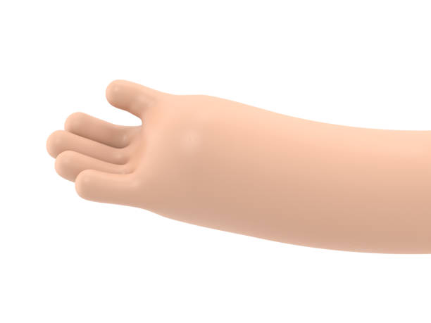 istock Cartoon Gesture Icon Mockup.Hand open and ready to help or receive.  Helping hand outstretched for salvation, 3D rendering on white background. 1503360037