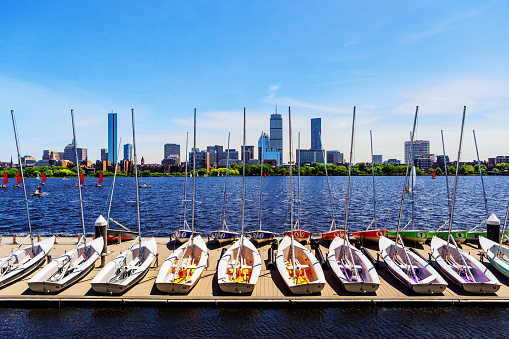A dock along the Cambridge side of the Charles River with rows of sailboats on it. Boats sailing on  the Charles River and Boston's Back Bay neighborhood in the background.