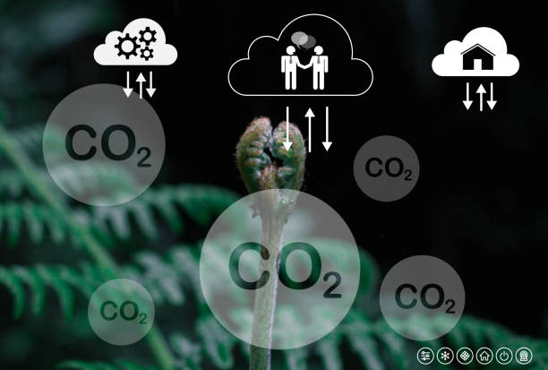 Reduce CO2 emission concept. concepto de reducción de emisiones de co2. medio ambiente limpio y amigable sin emisiones de dióxido de carbono. icono de reducción de co2 dentro de la lupa para el crédito de carbono para limitar el calentamiento global del cambio climático
