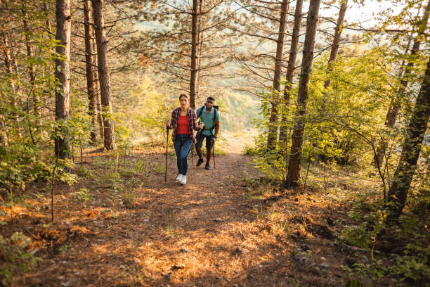 istock Adventurous multiracial couple hiking in the forest 1503363215