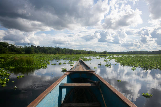 istock Views from the Cuipari Lake in Peruvian Jungle. 1503365951