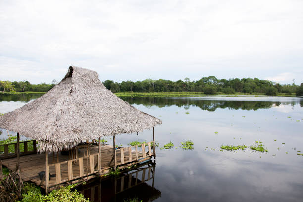 istock Views from the Cuipari Lake in Peruvian Jungle. 1503367211