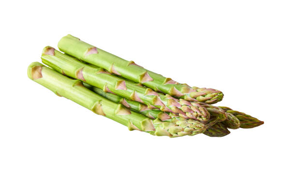 bunch of fresh green raw asparagus isolated on white background. stock photo