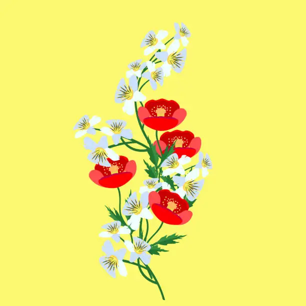 Vector illustration of Vector - Jasmin with poppies, flower bouquet.