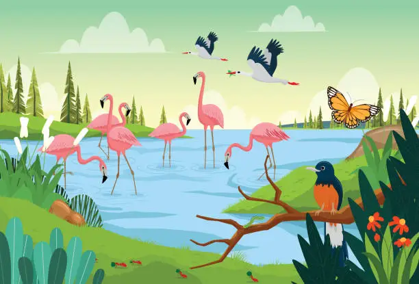 Vector illustration of A flock of pink flamingos stands in a swamp,