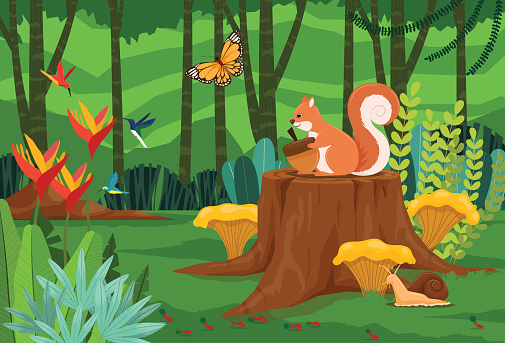 Red Squirrel sitting on a stump in jungle eating acorn. The forest is rich with plants, mushrooms and wildlife such as snails, dragonflies, frogs, birds.