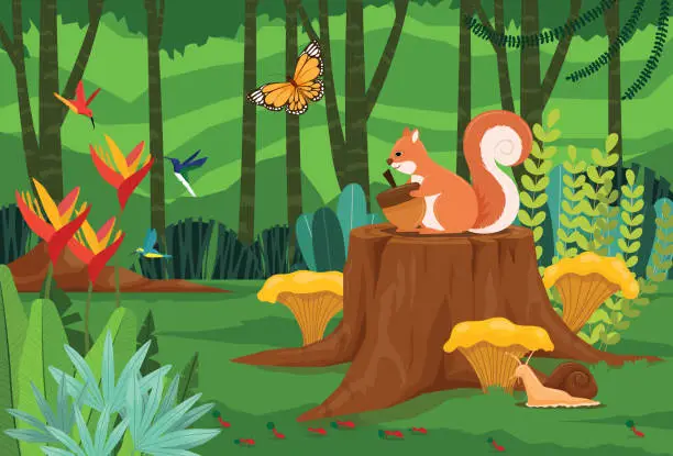 Vector illustration of Red Squirrel sitting on a stump in jungle eating acorn.
