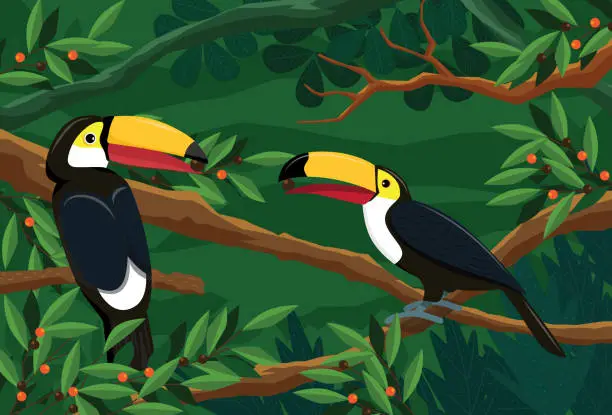 Vector illustration of Channel-billed toucan with a colorful orange beak in a lush rainforest