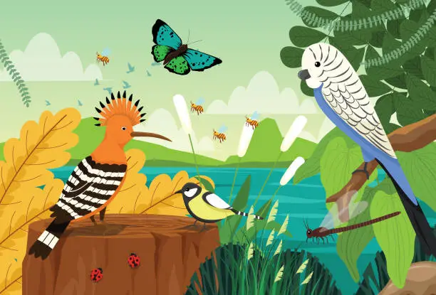 Vector illustration of Hoopoe, birds and bug in the rainforest they live in the ecosystem. an environment rich in flora and fauna.