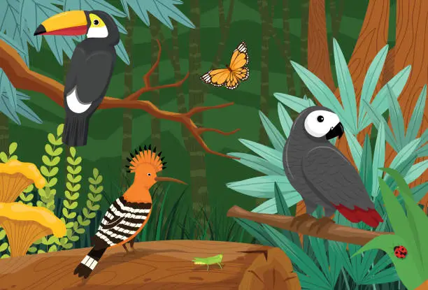 Vector illustration of Hoopoe, toucan and parrot birds and bug in the rainforest they live in the ecosystem. an environment rich in flora and fauna.