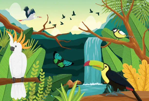 Vector illustration of Cockatoos, toucans, in the rainforest they live in the ecosystem. an environment rich in flora and fauna.