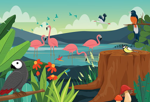 A flock of pink flamingos stands in a swamp, some taking a rest in a standing posture and some seeking food in the water. The forest is rich with flora and fauna.