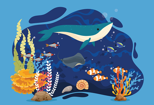 Tropical underwater blue whale and stingray on coral reefs. Sea life in nature, colorful marine landscape with seaweed, corals and animals such as shellfish and angelfish.