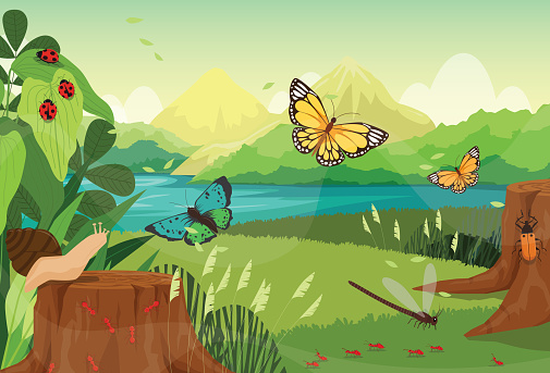 Summer natural landscape beautiful insect in summer spring field on background swamp and mountain with flying butterfly and dragonfly, nature panoramic view with snail, ants and beetle on stump.