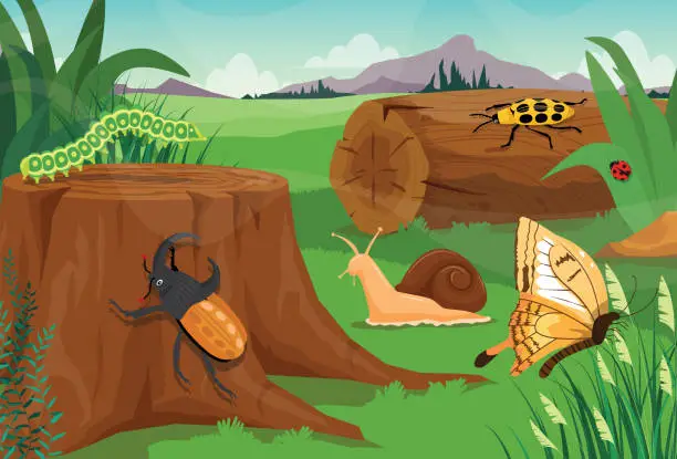 Vector illustration of Summer natural landscape beautiful insect in summer spring field on background green field and mountain with flying butterfly and snail on ground, Scene with caterpillar, ladybug and beetle on stump.