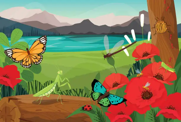 Vector illustration of Summer natural landscape beautiful insect in summer spring field with flying butterfly, dragonfly and bug on tree