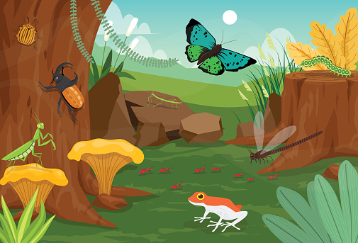 Summer natural landscape beautiful insect in summer spring field on background green field and mountain with flying butterfly, Scene with frog, beetles, mantis, worms, ant and mushroom