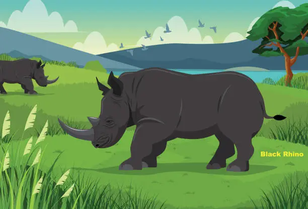 Vector illustration of African Black Rhinos on savanna grass field in South Africa.