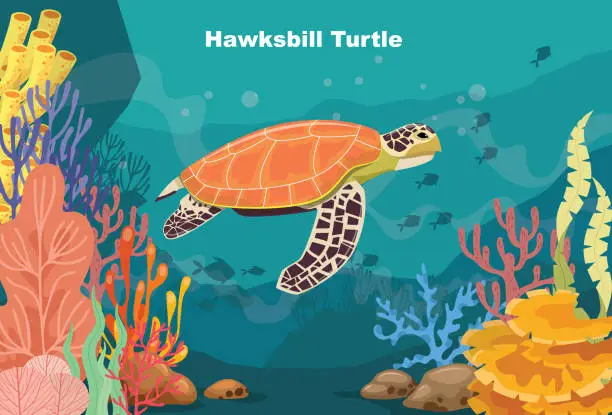 Vector illustration of Hawksbill turtle swimming in the blue sea along tropical reef with fish. Sea life in nature