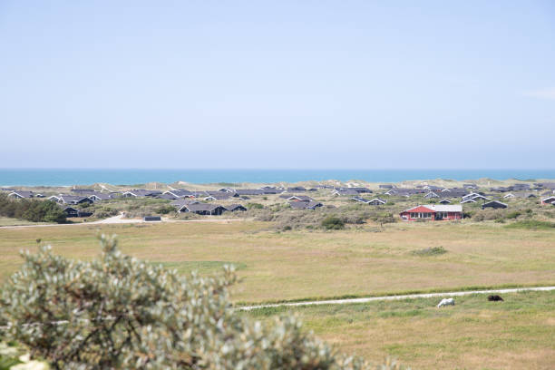 istock The beautiful Danish Western coast 1503373059