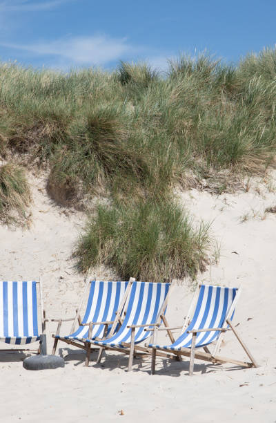 istock The beautiful Danish Western coast 1503373905