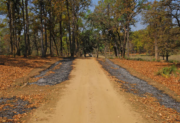 istock Landscapes and Habitats across India - 2B 1503380213