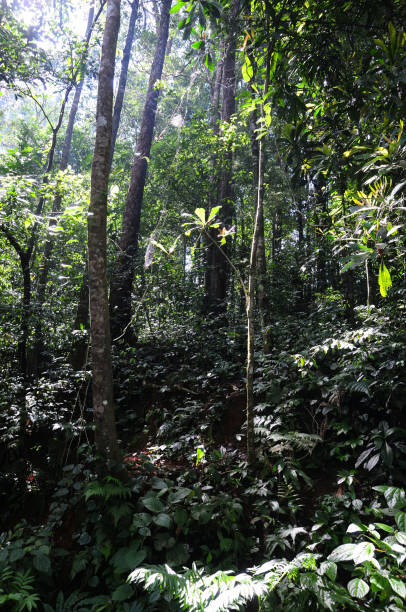 istock Landscapes and Habitats across India - 2B 1503380602