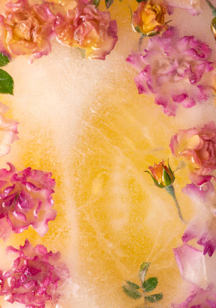 istock Artistic flower arrangement in ice on pastel background making an unique decoration background 1503382349