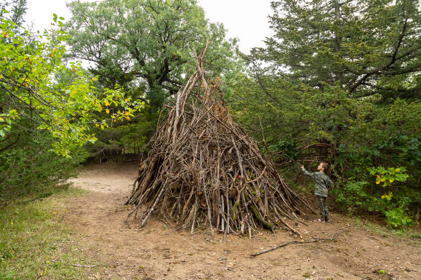 istock Boy Adding Stick to Large Stick Fort In Woods 1503382740