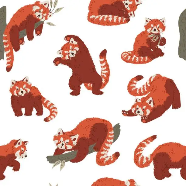 Vector illustration of Seamless pattern with red pandas in different poses flat style, vector illustration