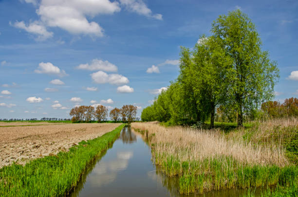 Nostalgic agricultural landscape with fields, a ditch and rows of trees on the nature island of Tiengemeten in the Netherlands