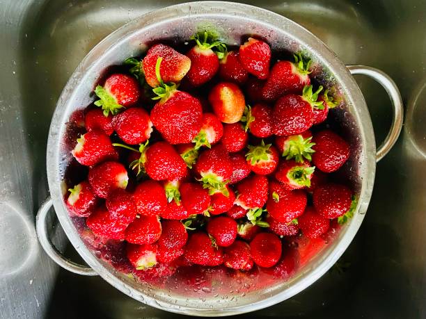 istock Strawberry Picking Season 1503386897