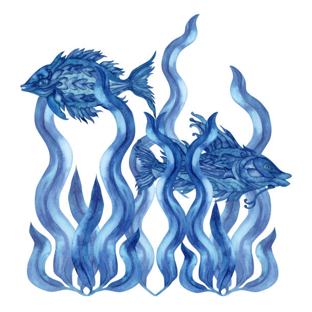 istock Monochrome watercolor illustration of a blue magic fish and a seaweed. For invitations, patterns, fabrics, wallpapers, stickers, postcards.Elements isolated on white background 1503388133