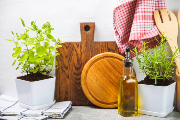 istock Assorted fresh herbs growing in pots against the backdrop of a kitchen interior. Green basil, mint. oregano, thyme and rosemary. Mixed fresh aromatic herbs in pots.Set of culinary herbs.Copy space. 1503388463