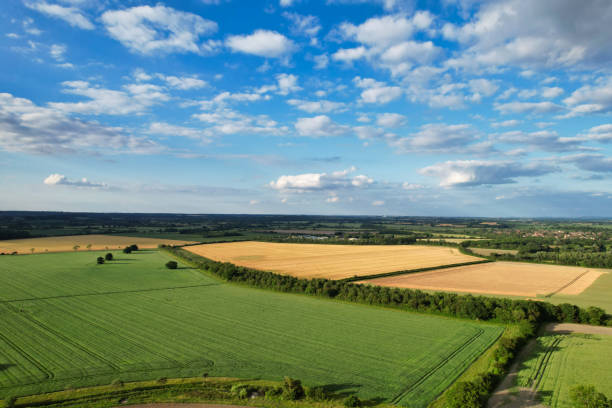 istock Aerial View of British Landscape Just During Sunset 1503390934